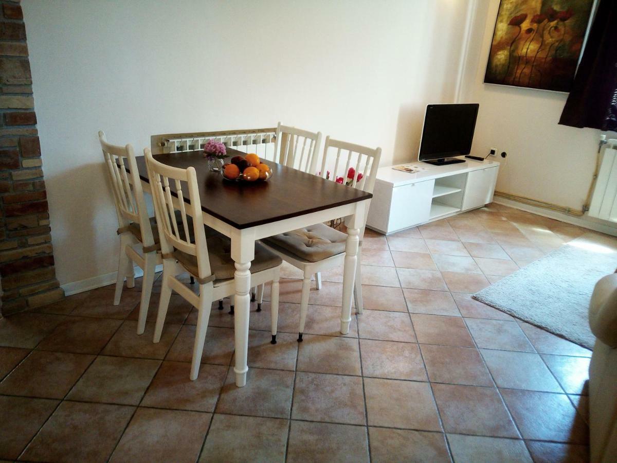 Apartments Mirela Novigrad  Екстер'єр фото